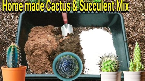 cactus soil mix ratio|Cactus Soil .